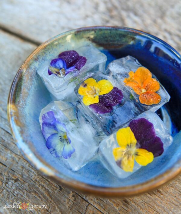 How to Make the Perfect Edible Flower Ice Cubes + How to Use Them