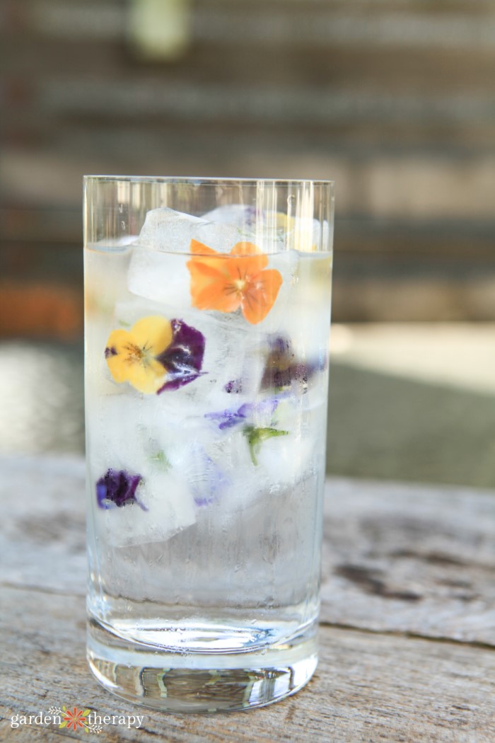 glass of flower ice cubes