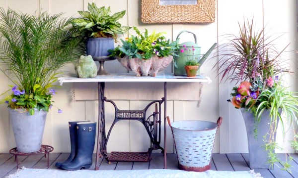 Porch Planters: Houseplants and Annuals