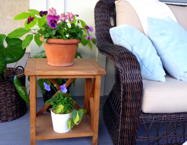 Summering houseplants with flowering annuals