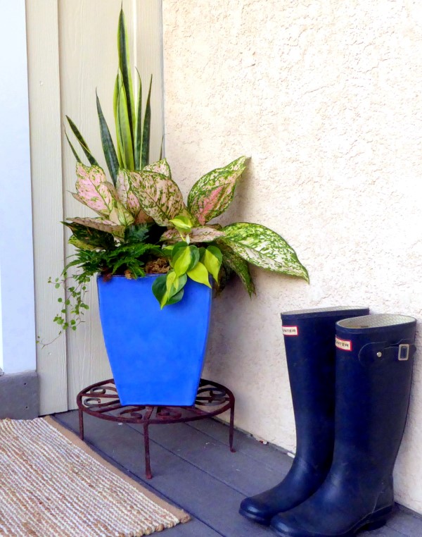 Move Houseplants Outdoors to Create Stunning Porch Planters