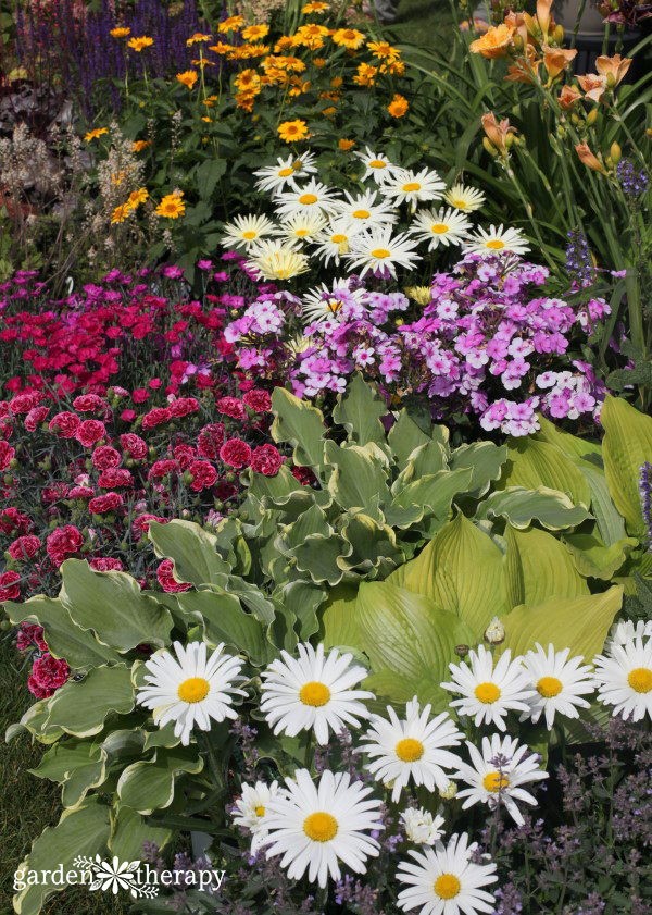 flowering perennials in the home garden