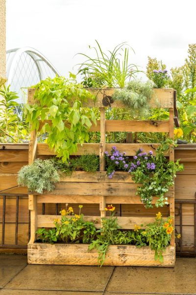 Indoors or out, a pallet planter is a vertical organizer for all kinds of greenery.