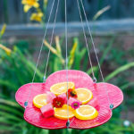 Butterfly feeder hanging in a garden