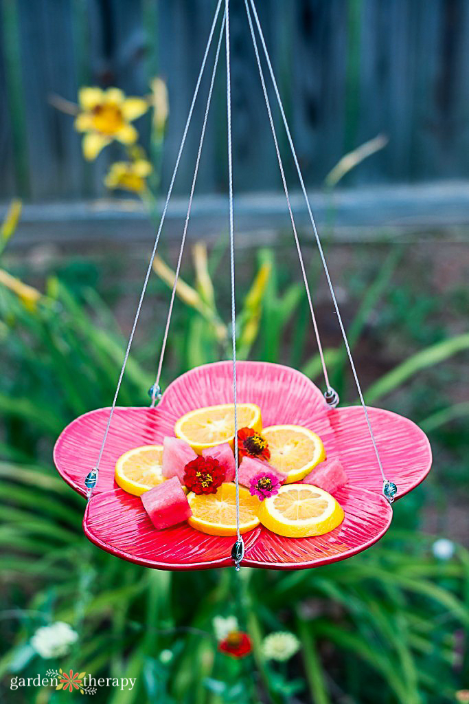 Butterfly feeder hanging in a garden