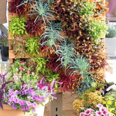 Colorful Foliage Decorative Pallet Planter