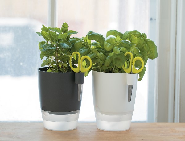 Elho Windowsill Herb Garden