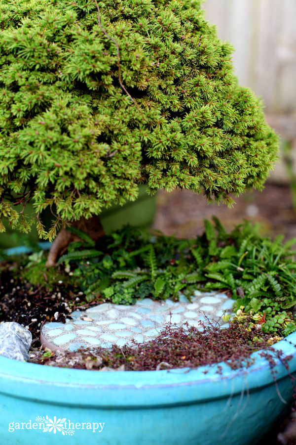 Gardening in Miniature Cover Project