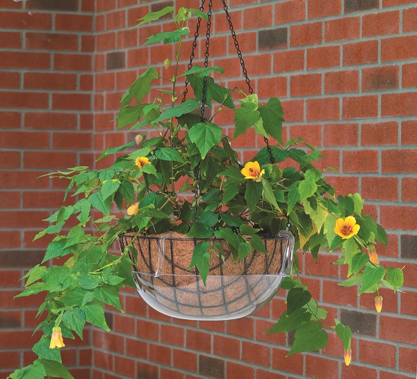 Hanging Basket Tray