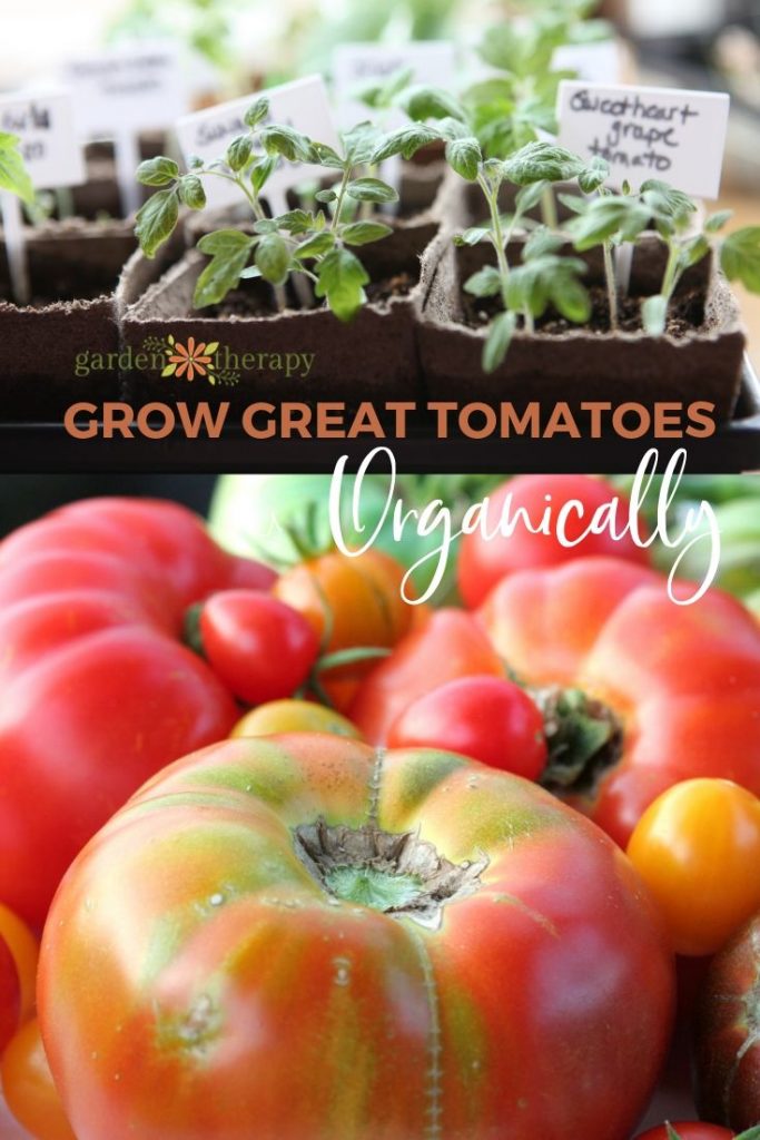 Tomato Seed Envelopes and Free Printable Label - Garden Therapy