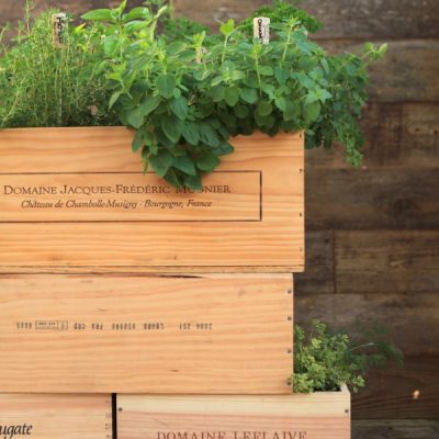 How to Make a Wood Wine Box Herb Garden