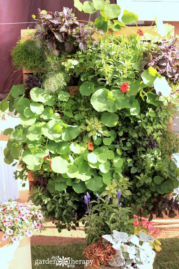 Kitchen Garden Herb Pallet Planter