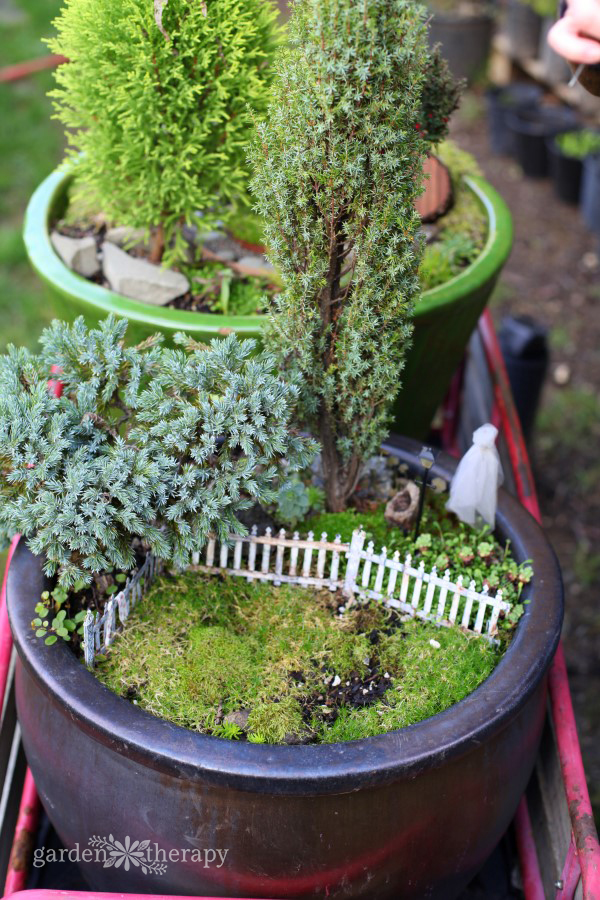 Haunted Halloween Miniature Garden