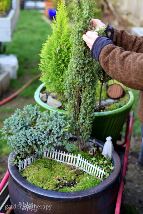 Magical Miniature Gardens Being Cared For