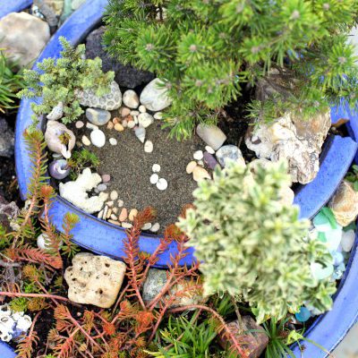 Magical Miniature Gardens (Broken Pot Garden)