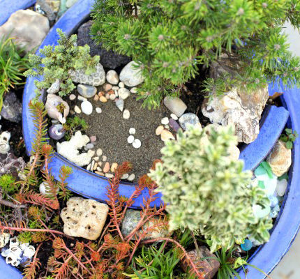 Magical Miniature Gardens (Broken Pot Garden)