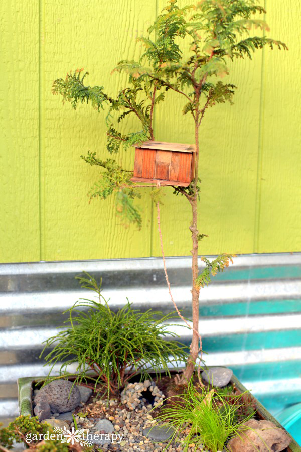 Magical Miniature Gardens (Treehouse Project)