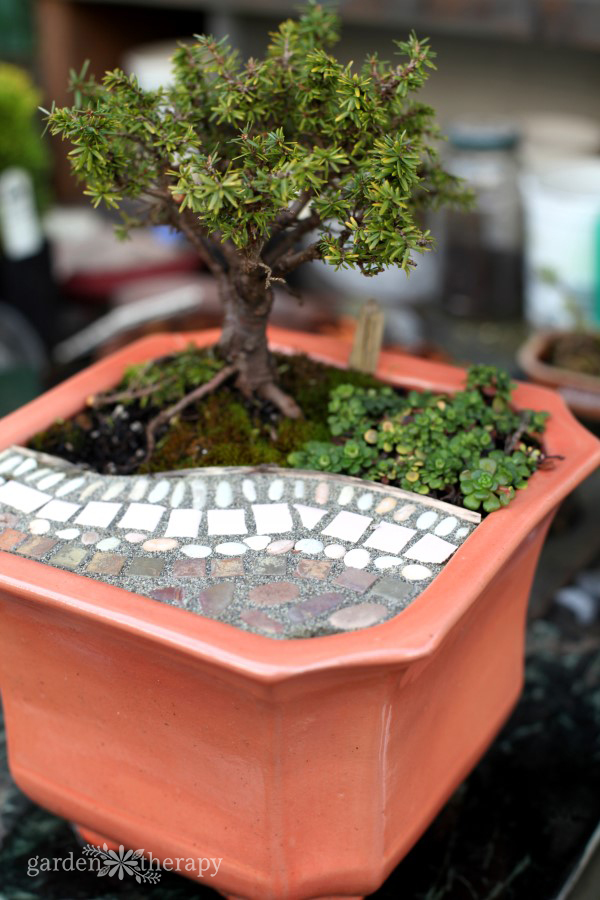 Magical Miniature Gardens Patio Pot