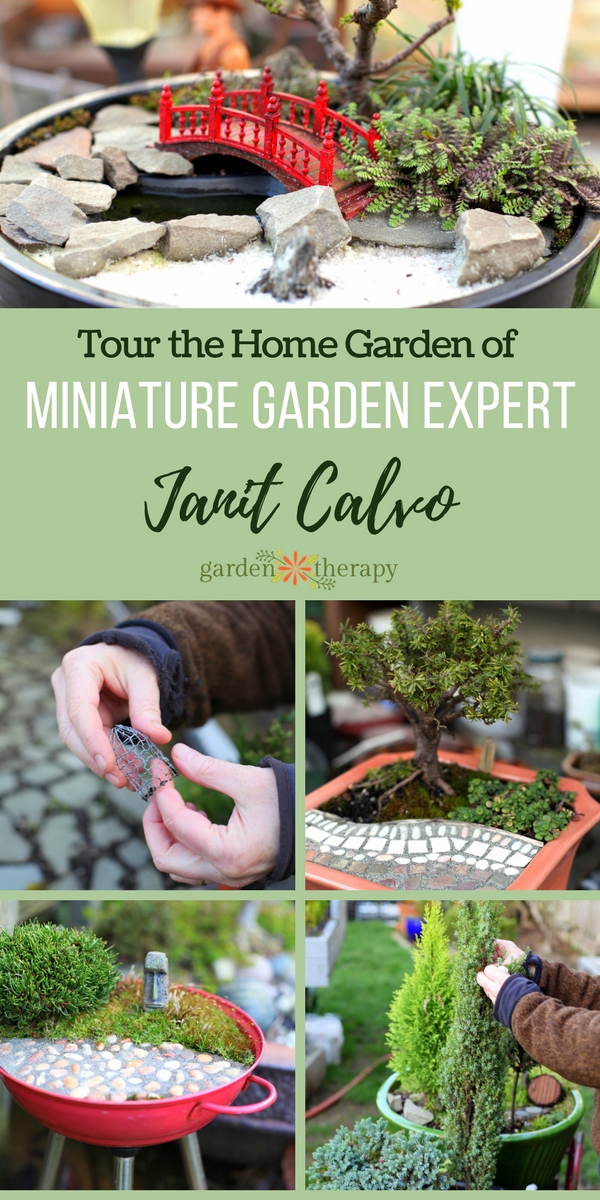 Miniature Garden Tour