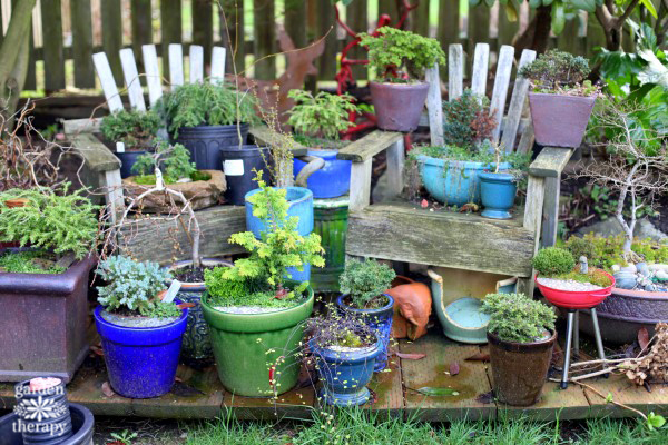 Miniature Gardens Winter Storage