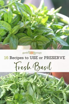 What to Do with Basil: 16 Basil Recipes to Enjoy All Year Long