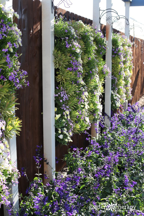 Rows of Vertical Planters