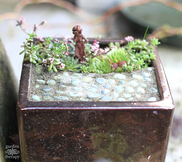 Miniature Garden