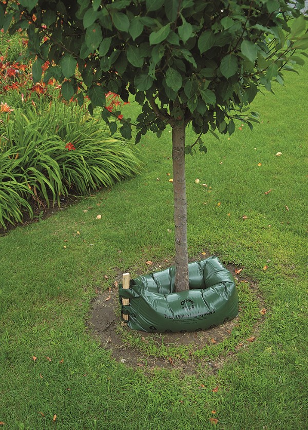 Tree Drip Irrigation System