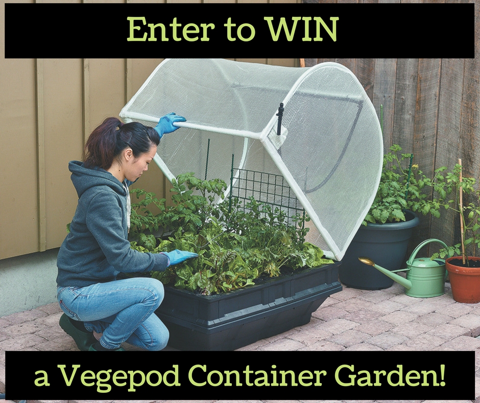 Vegepod Container Garden
