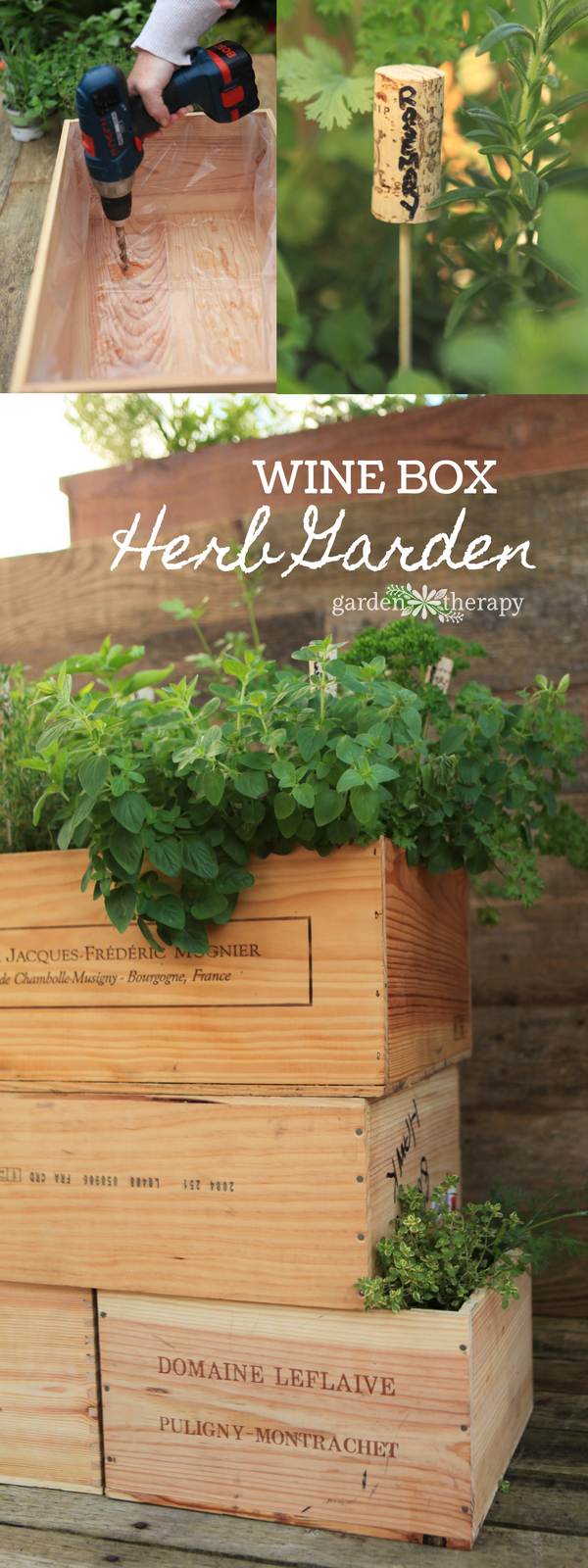 Make a DIY Wine Box Herb Garden