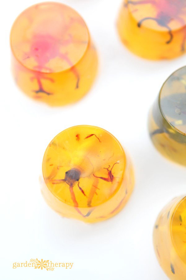 amber insect soap