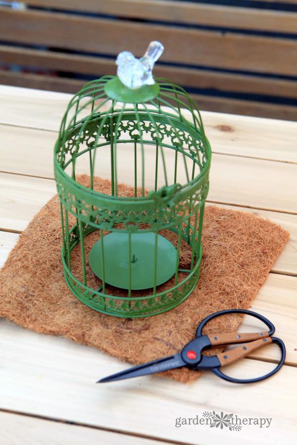 Hanging Birdcage Planter Set