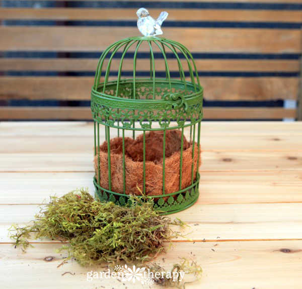 Birdcage hanging basket made from a candle lantern