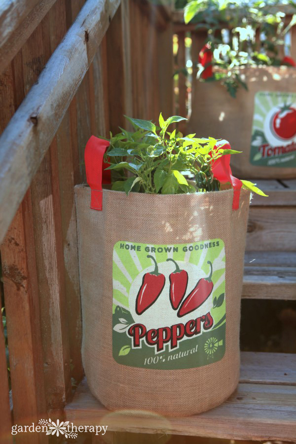 Burlap Pepper Planter Bag