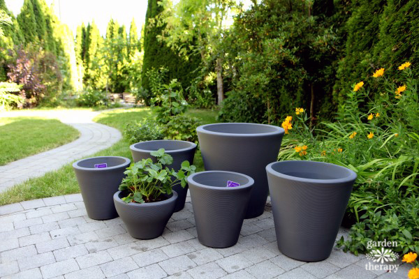 Crescent Garden patio pots for container fruit trees