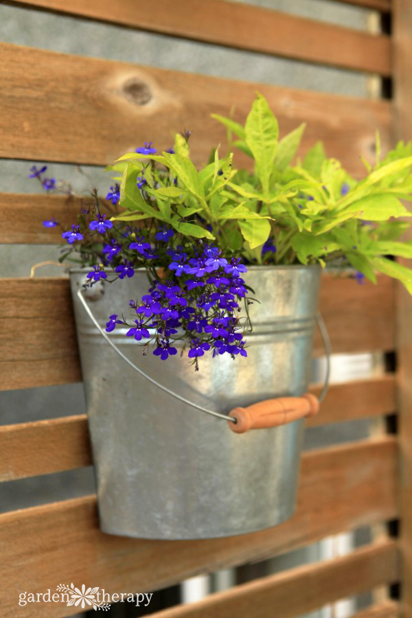 Galvanized Bucket Planter