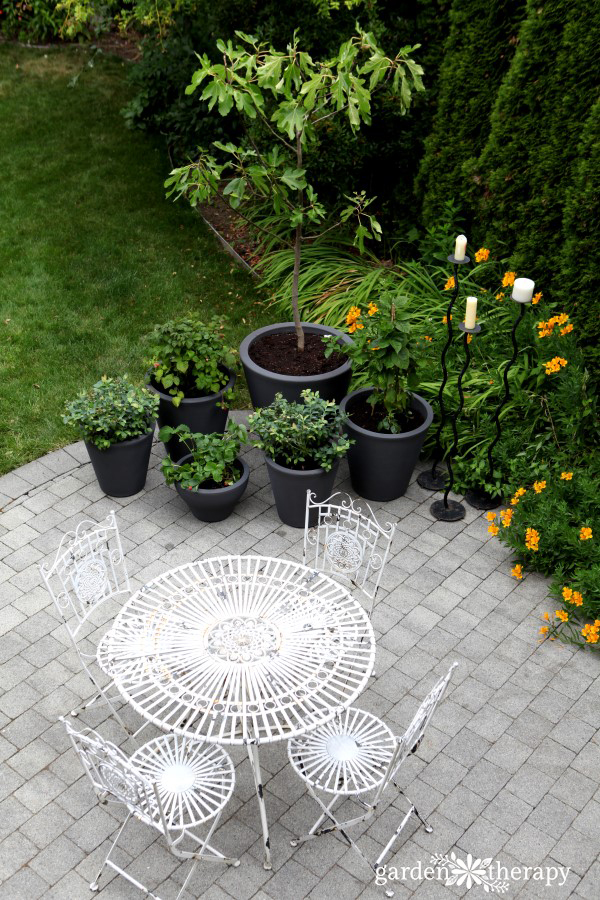 container fruit trees in the garden next to white metal patio furniture