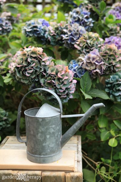 Gardens in Literature: Classic Books Featuring Inspiring Gardens