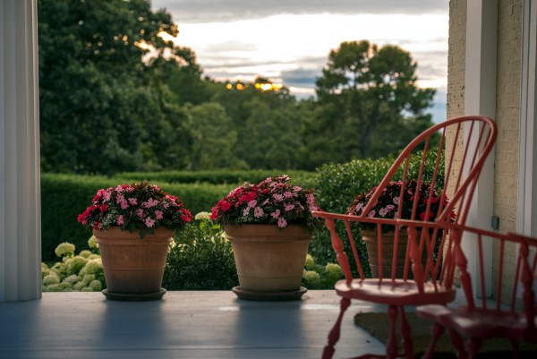 Moss Mountain Farm Porch SunPatiens