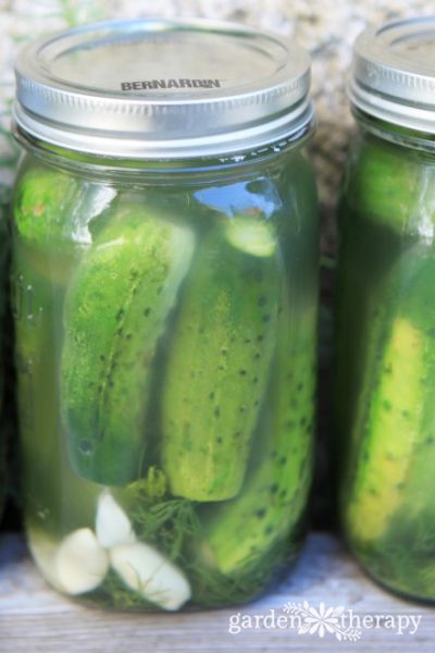 Old Fashioned Deli-Style Sour Pickles