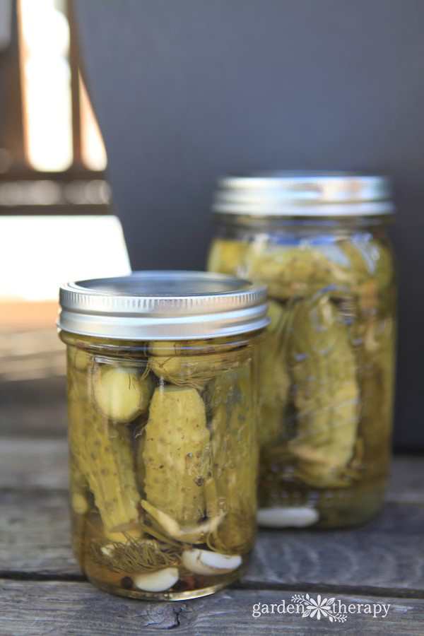 Old Fashioned Deli-Style Sour Pickles