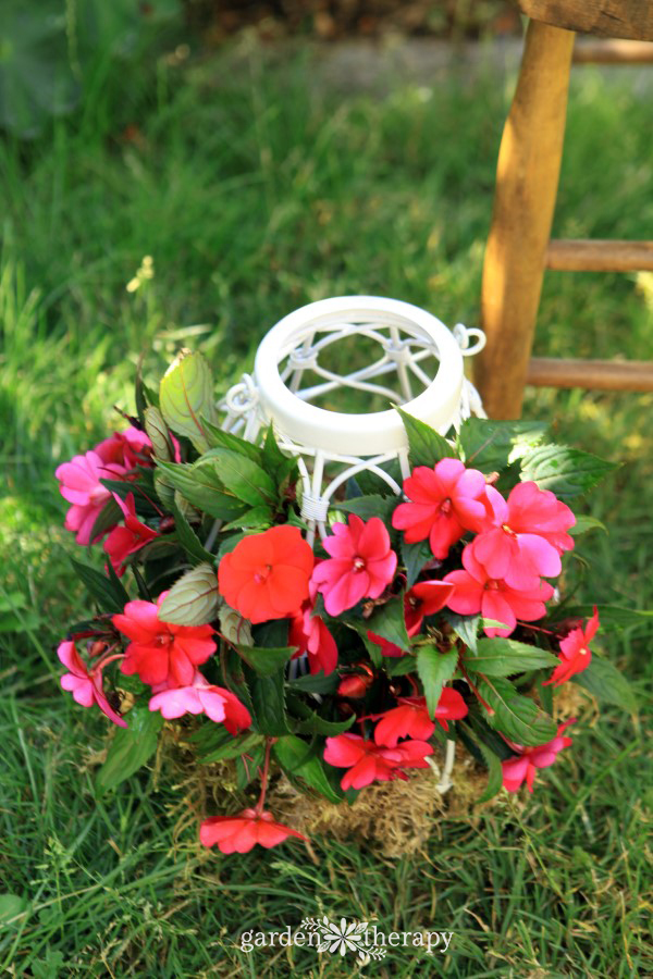 12” Bird Cage Hanging Basket with Metal Liner ⋆ The Garden Party