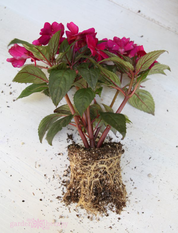 Make a summery straw purse planter