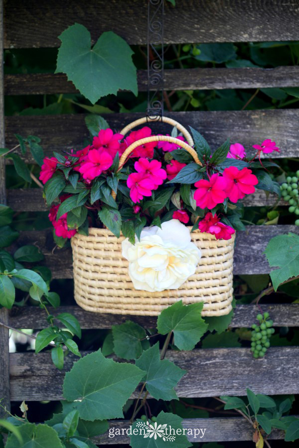 Sunpatiens Thrifted Purse Planter