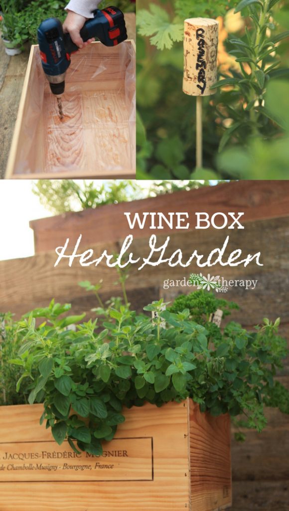 Make a Wine Box Herb Garden Fit for a Connoisseur Garden Therapy®