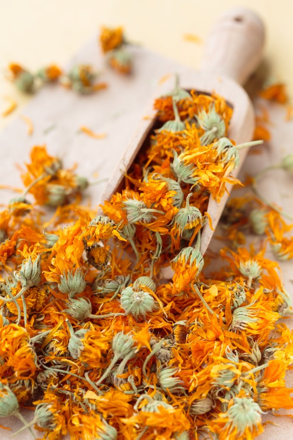 dried calendula