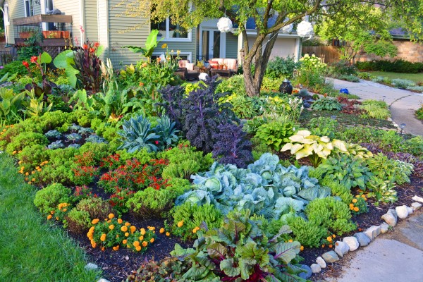 an intensive garden bed