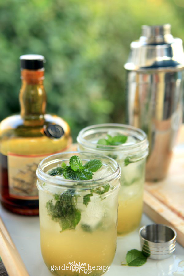 moonlight mojito in a mason jar with mint garnish