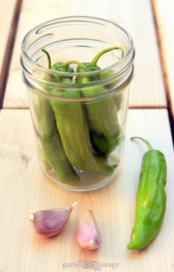 Pickled Shishito Peppers