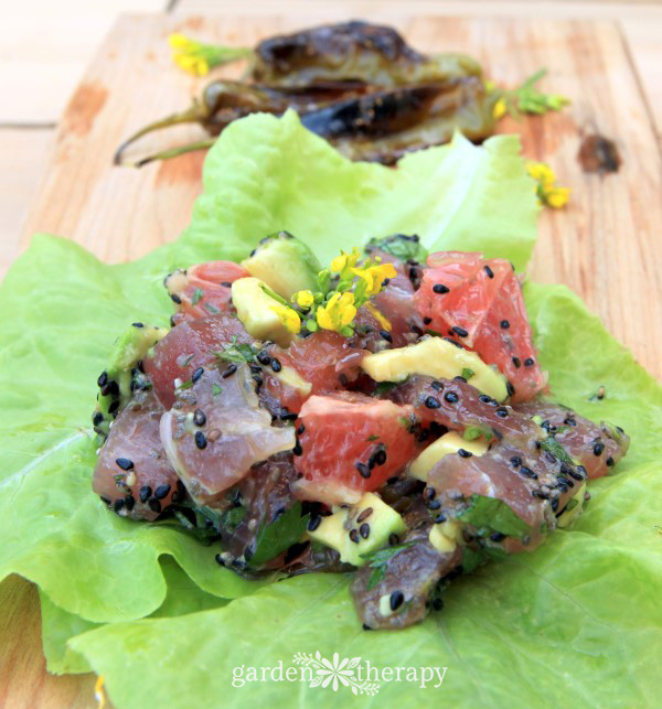 Receta de poke Shishito Ahi